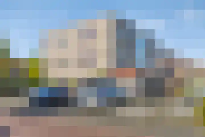 Roerdomp 5 Rijssen thumbnail 27