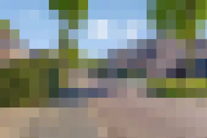 Roerdomp 5 Rijssen thumbnail 28