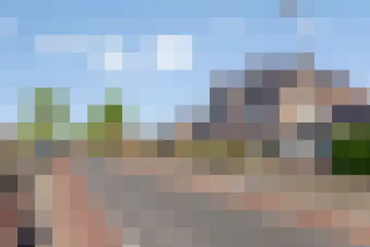 Roerdomp 5 Rijssen thumbnail 29