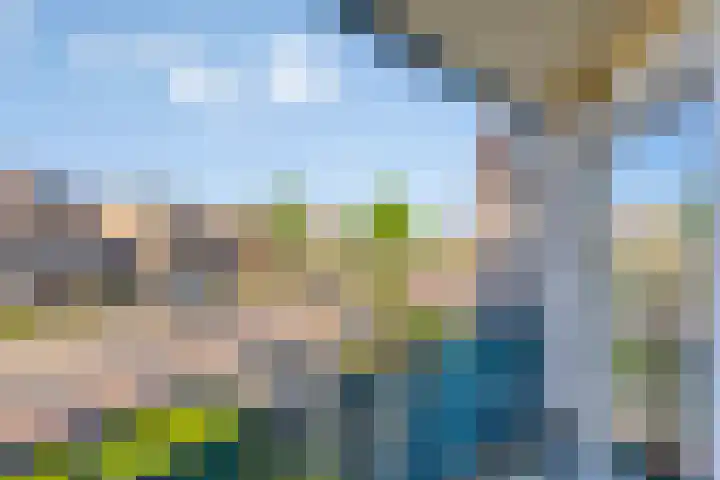 Roerdomp 5 Rijssen foto 3