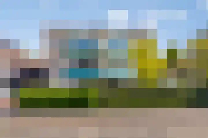 Roerdomp 5 Rijssen thumbnail 30