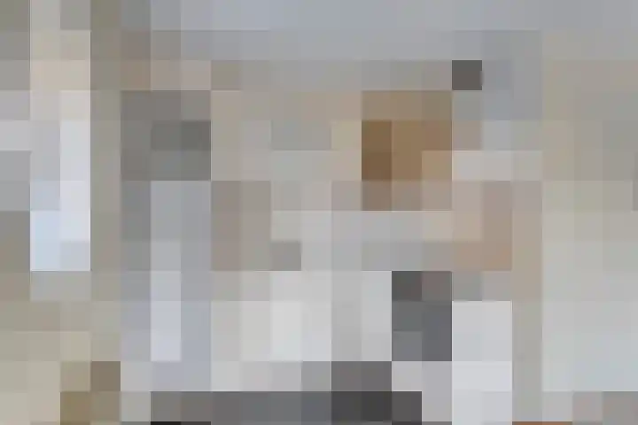 Roerdomp 5 Rijssen thumbnail 4
