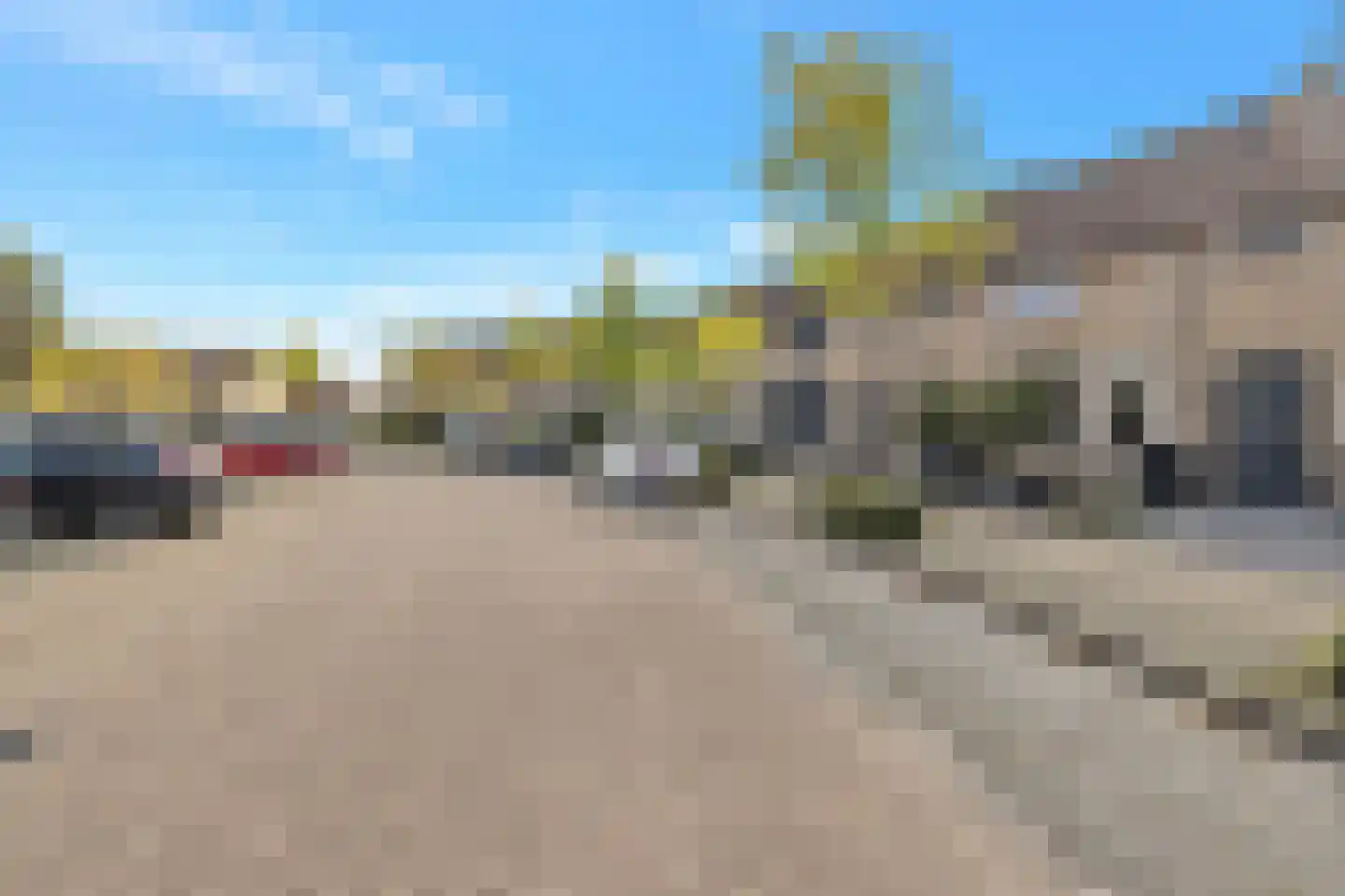 Roerdomp 50 Etten-Leur thumbnail 6