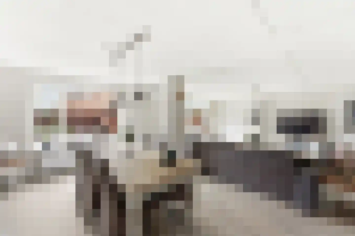 Roerdomp 50 Nieuw-Lekkerland thumbnail 11