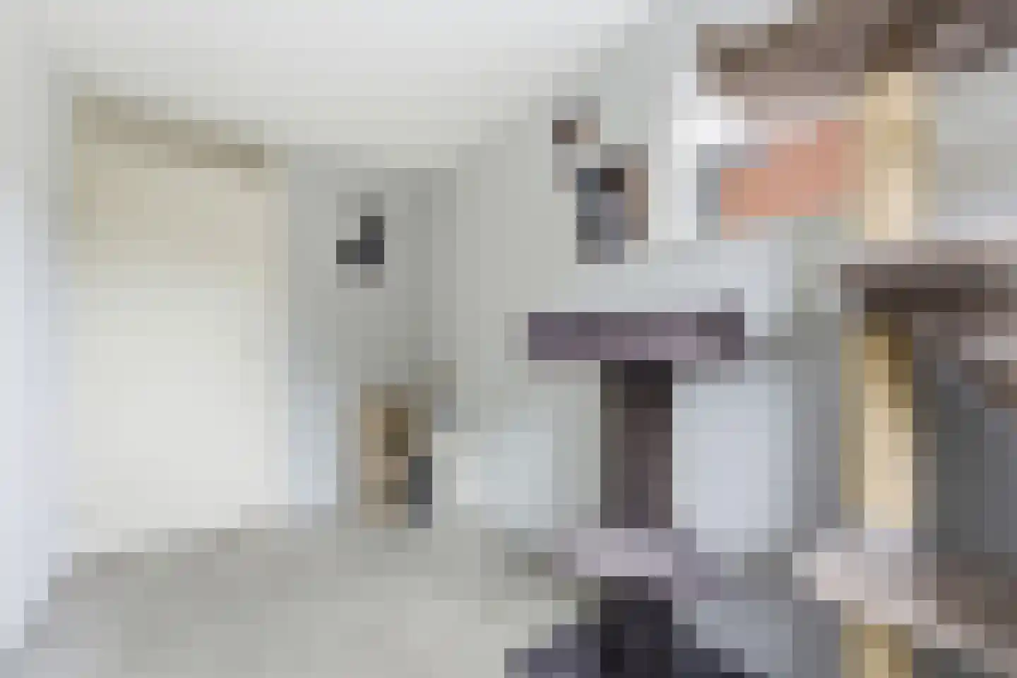 Roerdomp 50 Nieuw-Lekkerland thumbnail 22