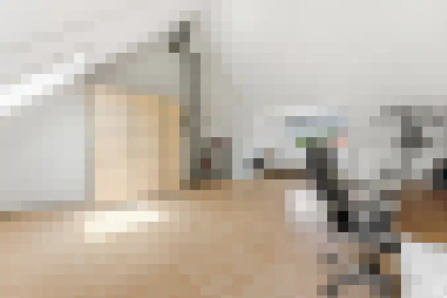 Roerdomp 50 Nieuw-Lekkerland thumbnail 31
