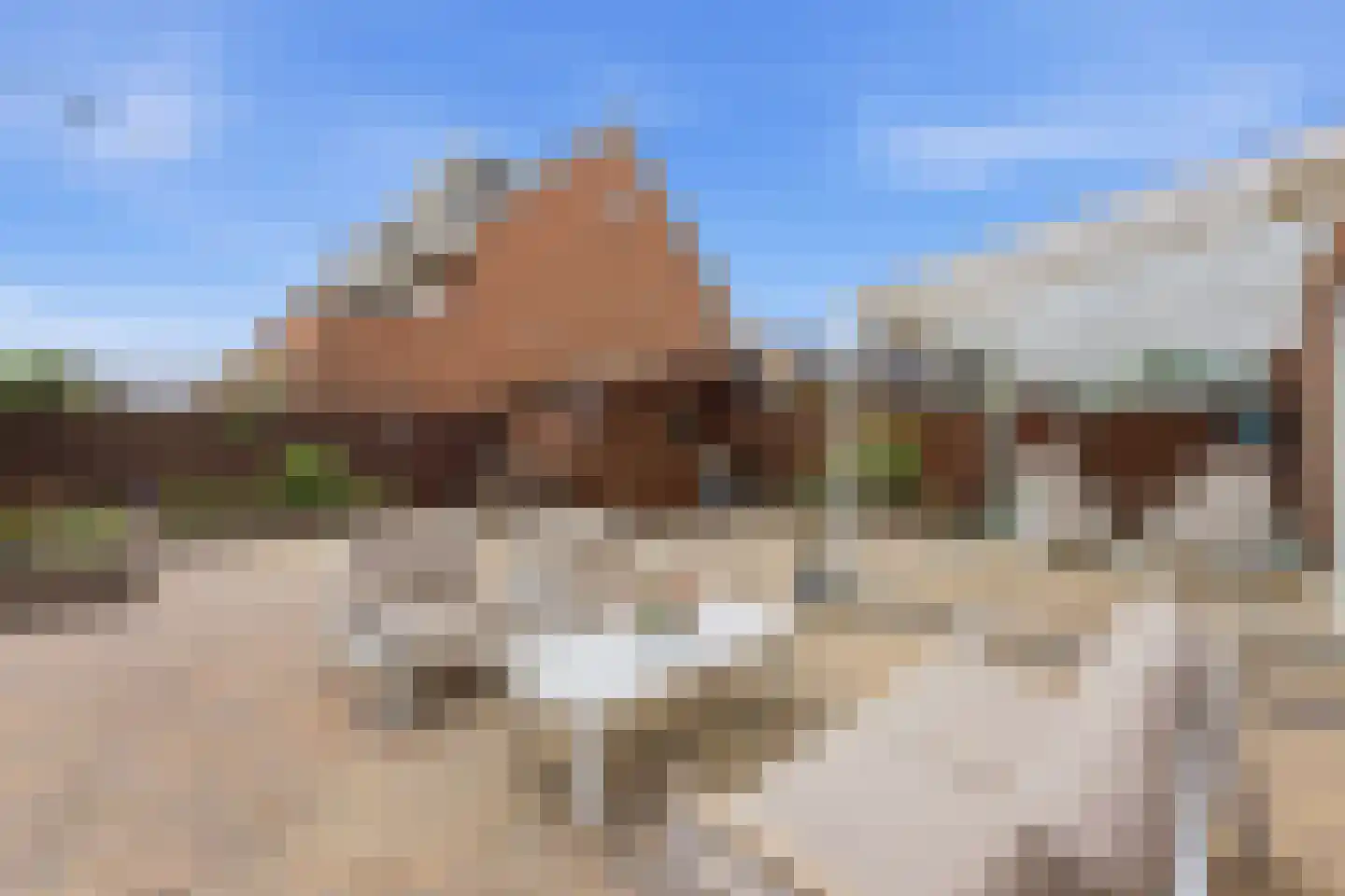 Roerdomp 50 Nieuw-Lekkerland thumbnail 37
