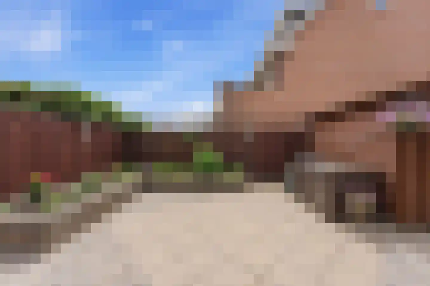 Roerdomp 50 Nieuw-Lekkerland thumbnail 42