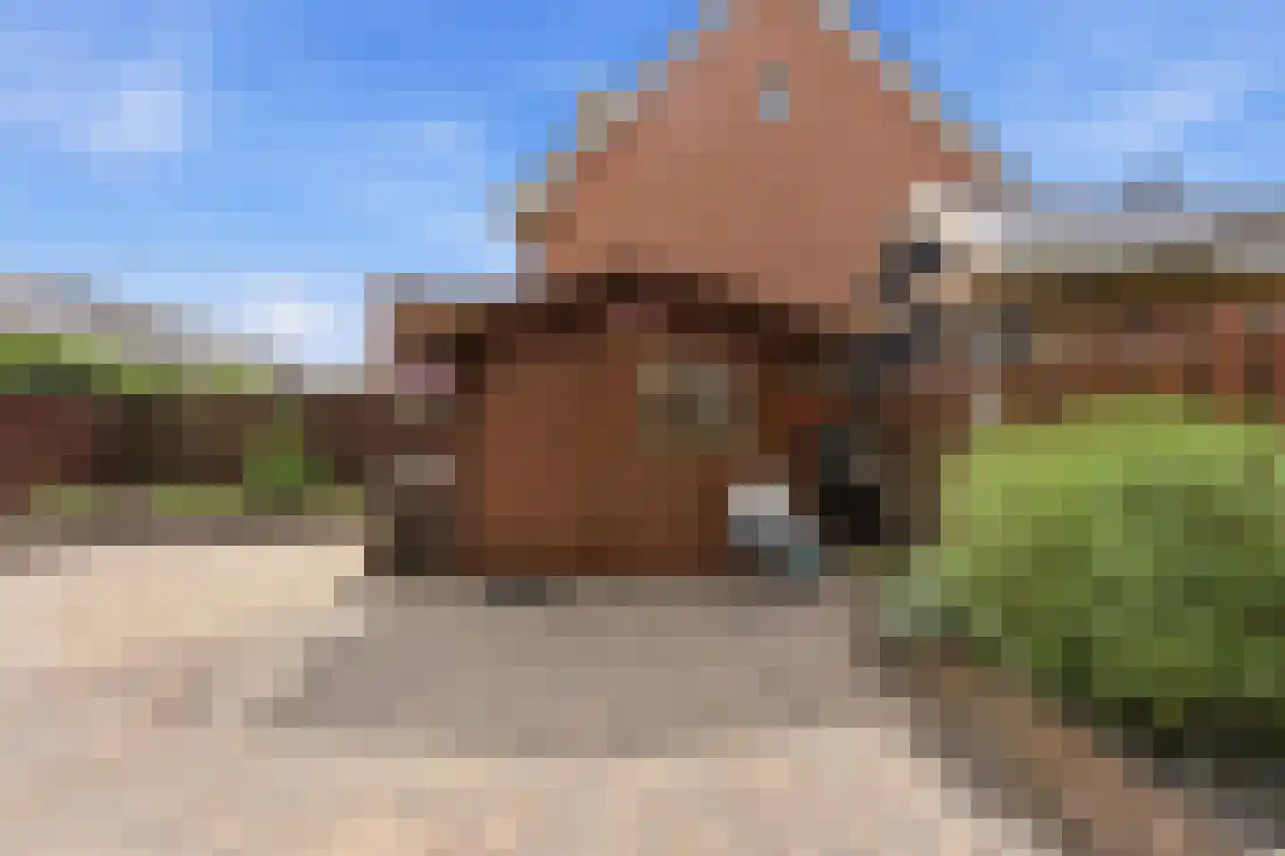 Roerdomp 50 Nieuw-Lekkerland thumbnail 43