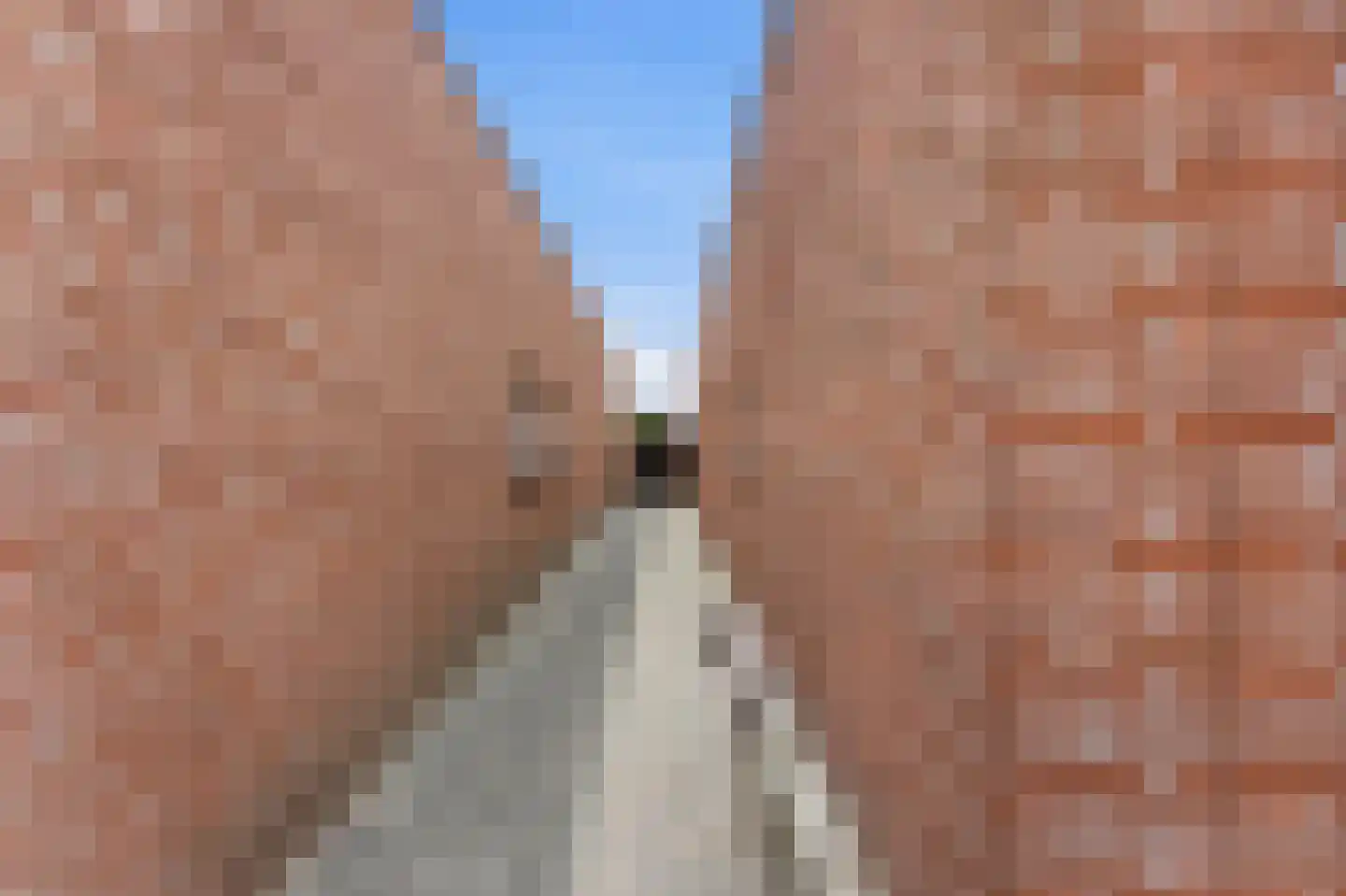 Roerdomp 50 Nieuw-Lekkerland thumbnail 44