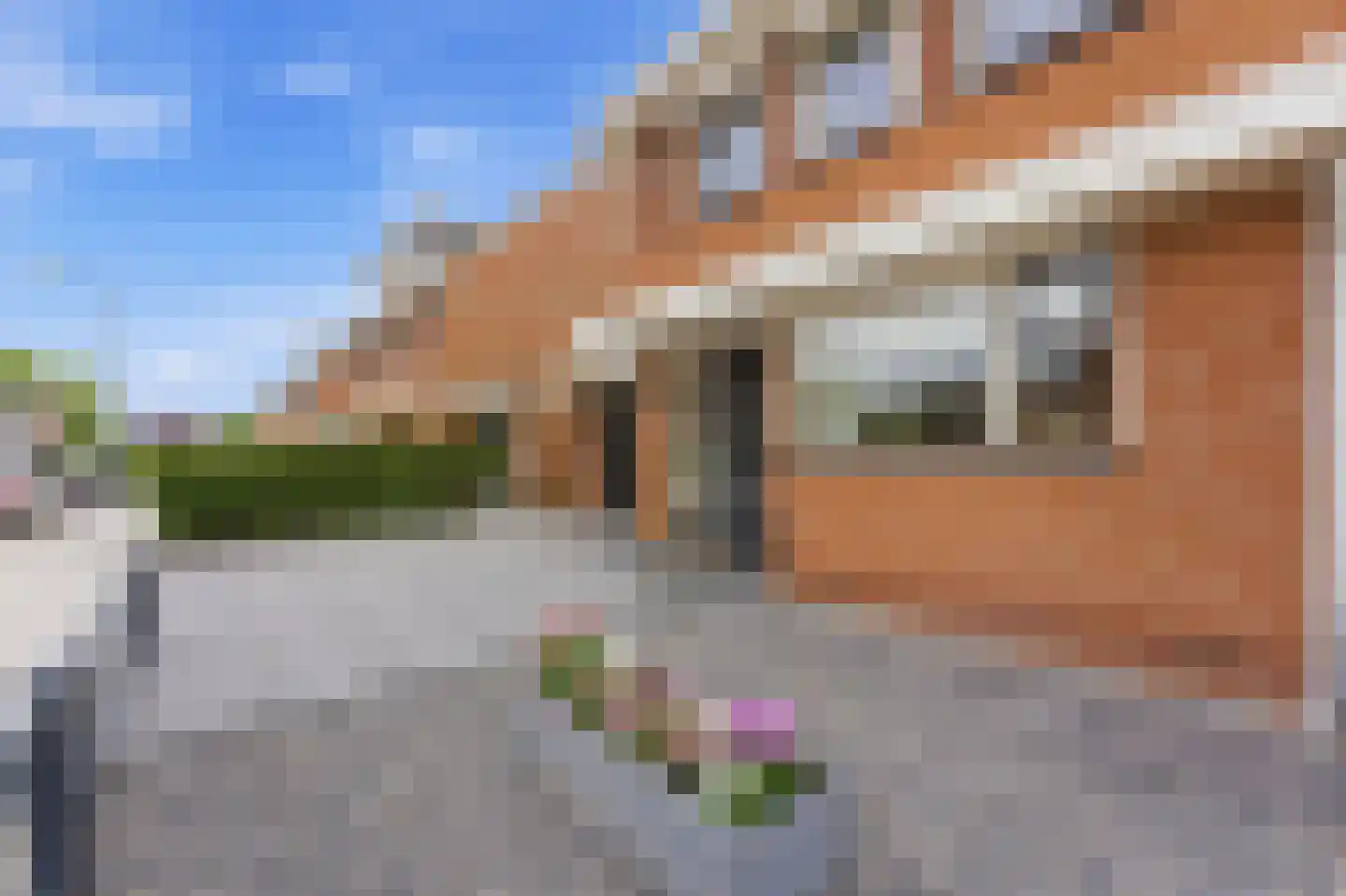 Roerdomp 50 Nieuw-Lekkerland thumbnail 50