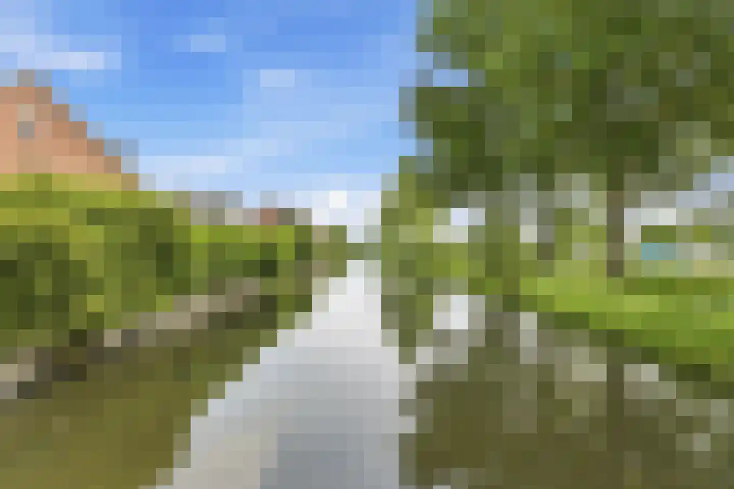 Roerdomp 50 Nieuw-Lekkerland thumbnail 52