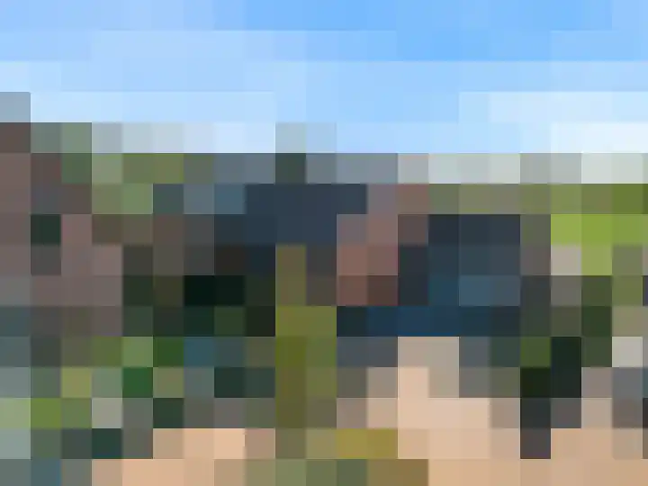 Roerdomp 61 in Kockengen