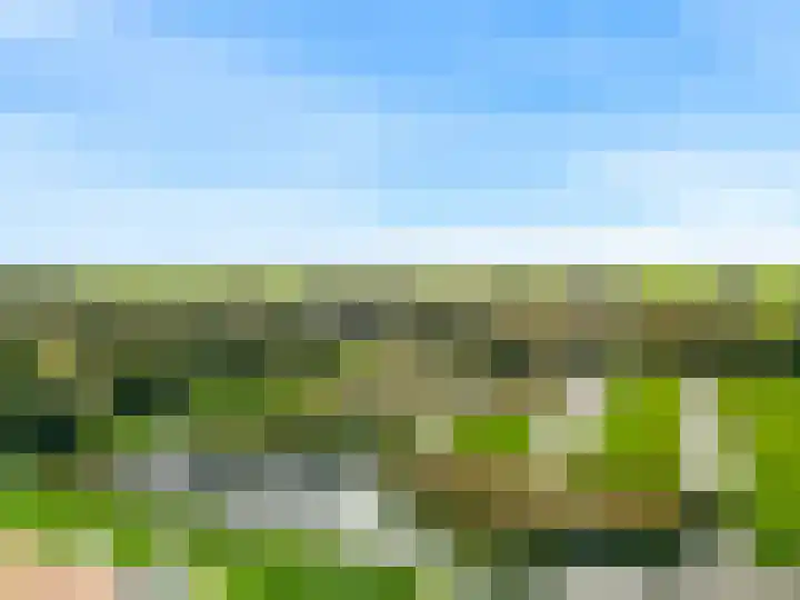 Roerdomp 61 Kockengen thumbnail 53
