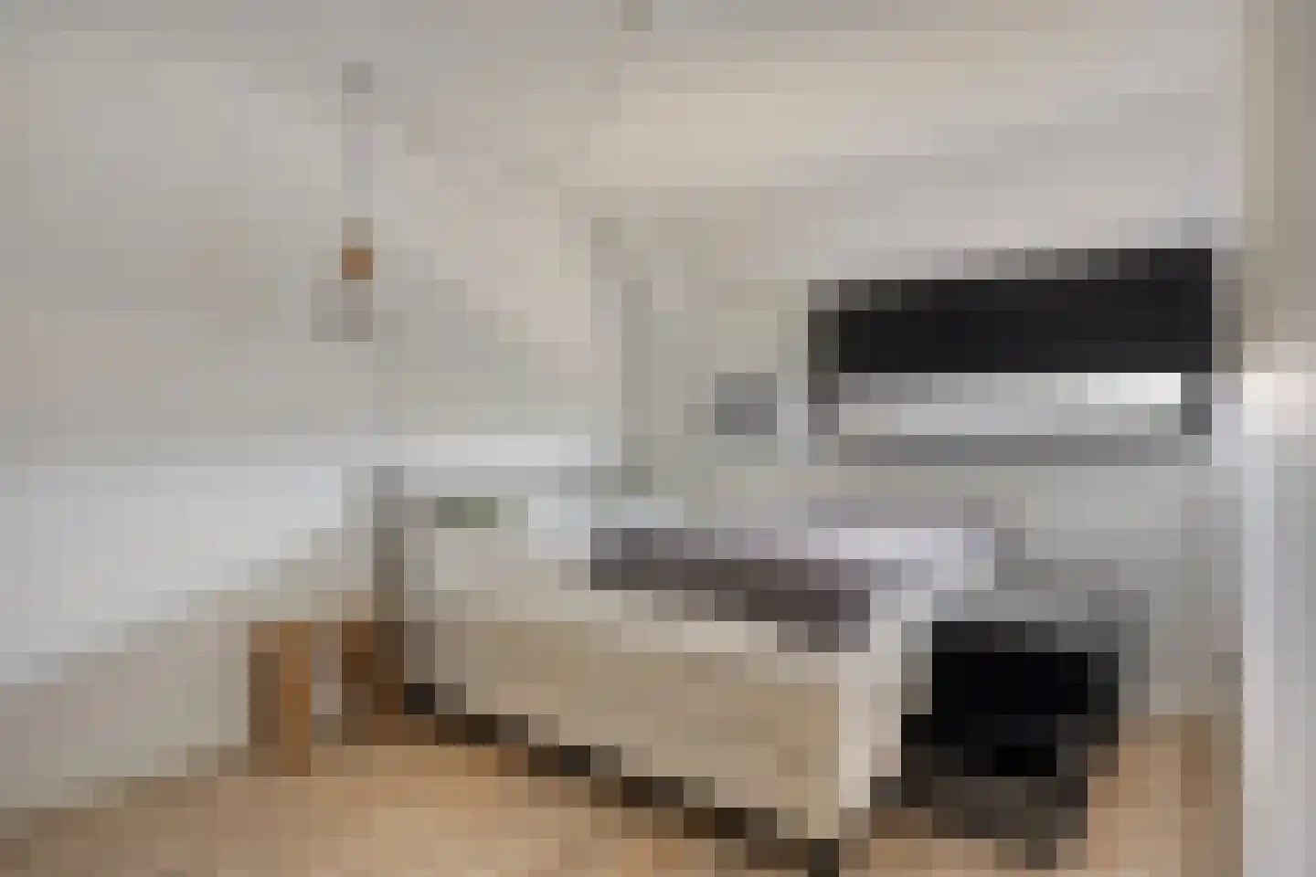 Roerdomp 67 's-Hertogenbosch thumbnail 30