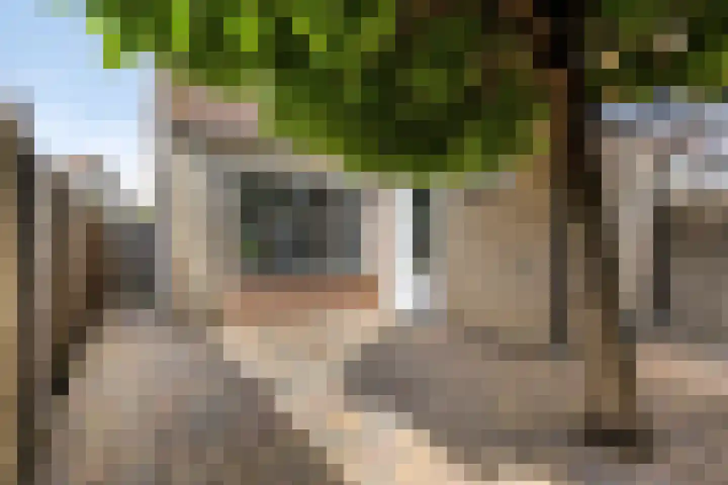 Roerdomp 67 's-Hertogenbosch thumbnail 46