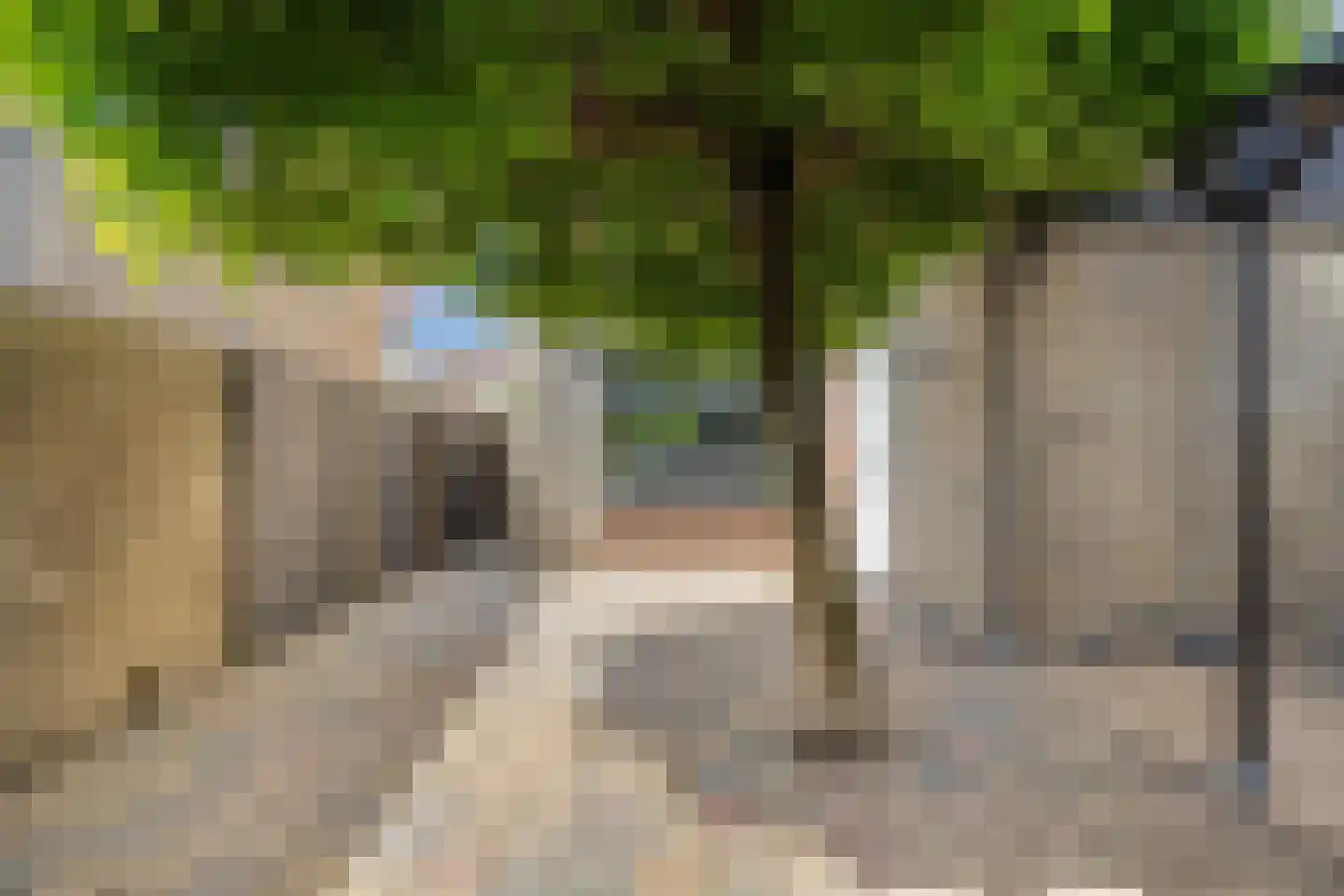 Roerdomp 67 's-Hertogenbosch thumbnail 48