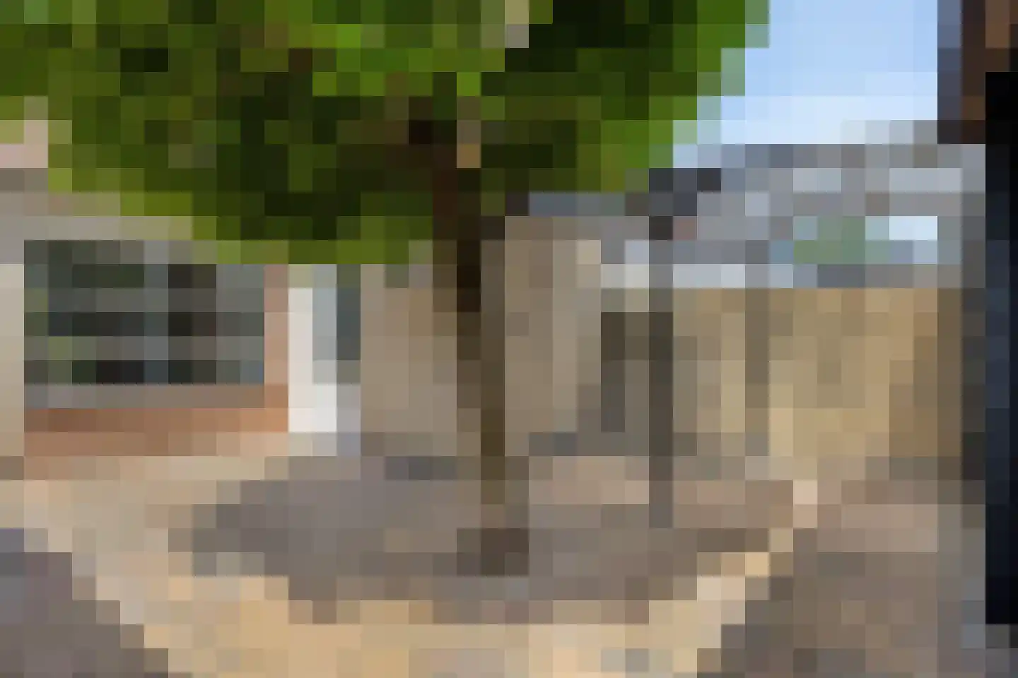 Roerdomp 67 's-Hertogenbosch thumbnail 50