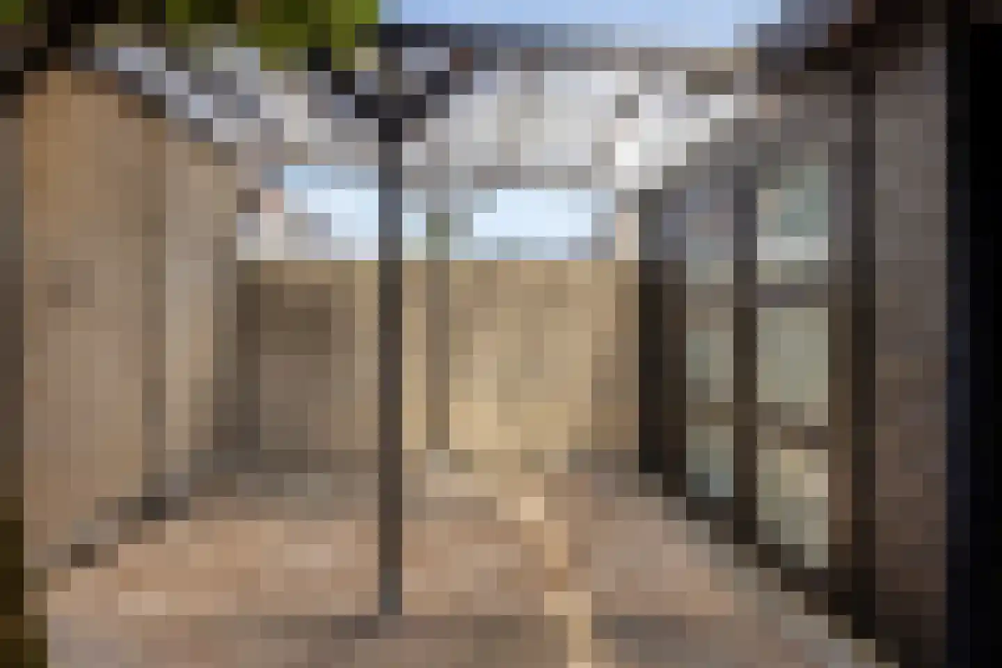 Roerdomp 67 's-Hertogenbosch thumbnail 51