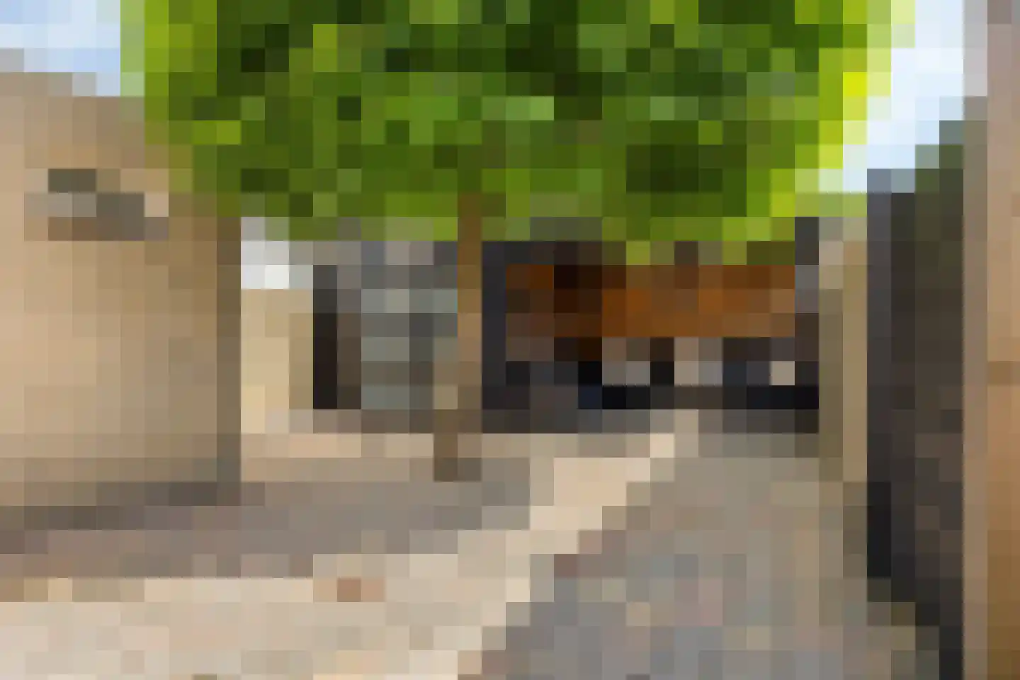 Roerdomp 67 's-Hertogenbosch thumbnail 52