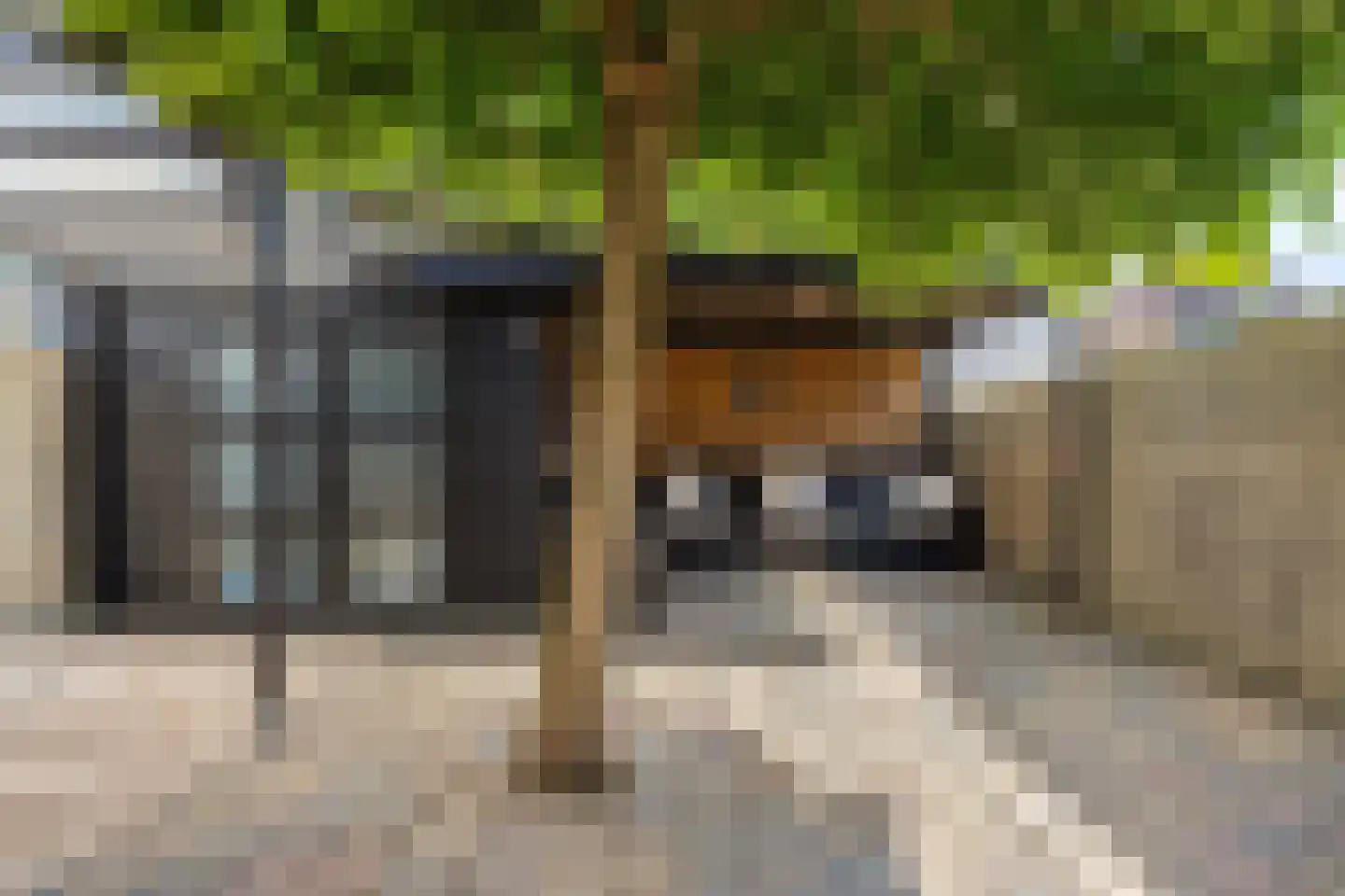 Roerdomp 67 's-Hertogenbosch thumbnail 53