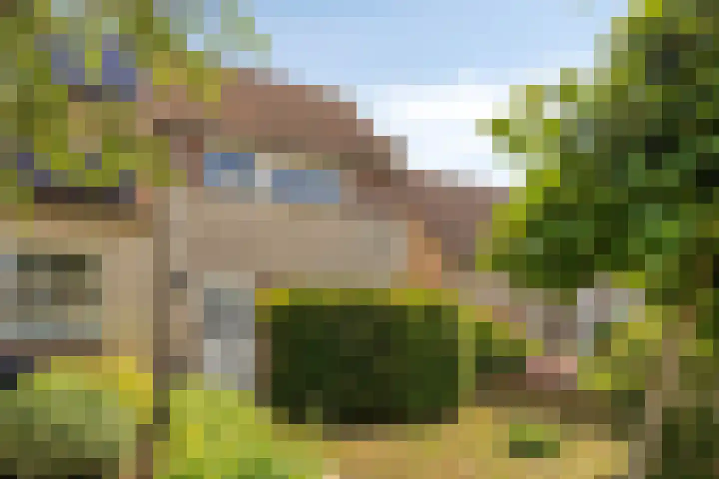 Roerdomp 67 's-Hertogenbosch thumbnail 6