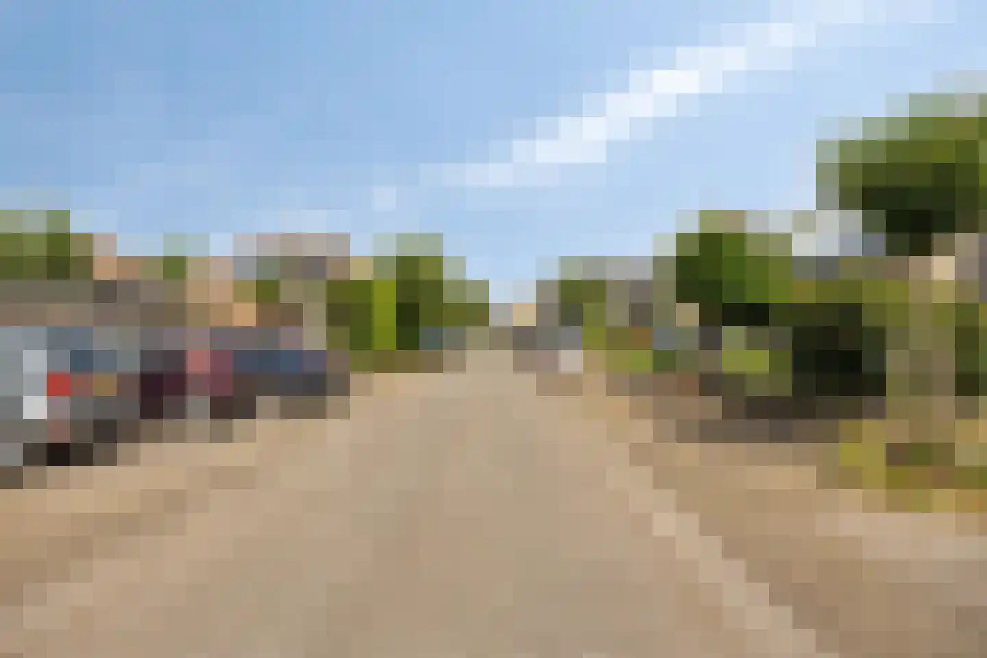 Roerdomp 67 's-Hertogenbosch thumbnail 8