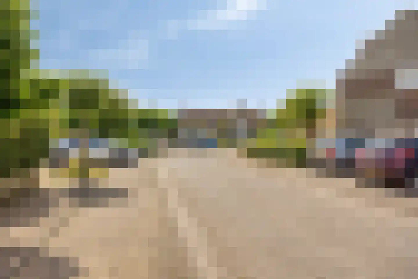 Roerdomp 67 's-Hertogenbosch thumbnail 9