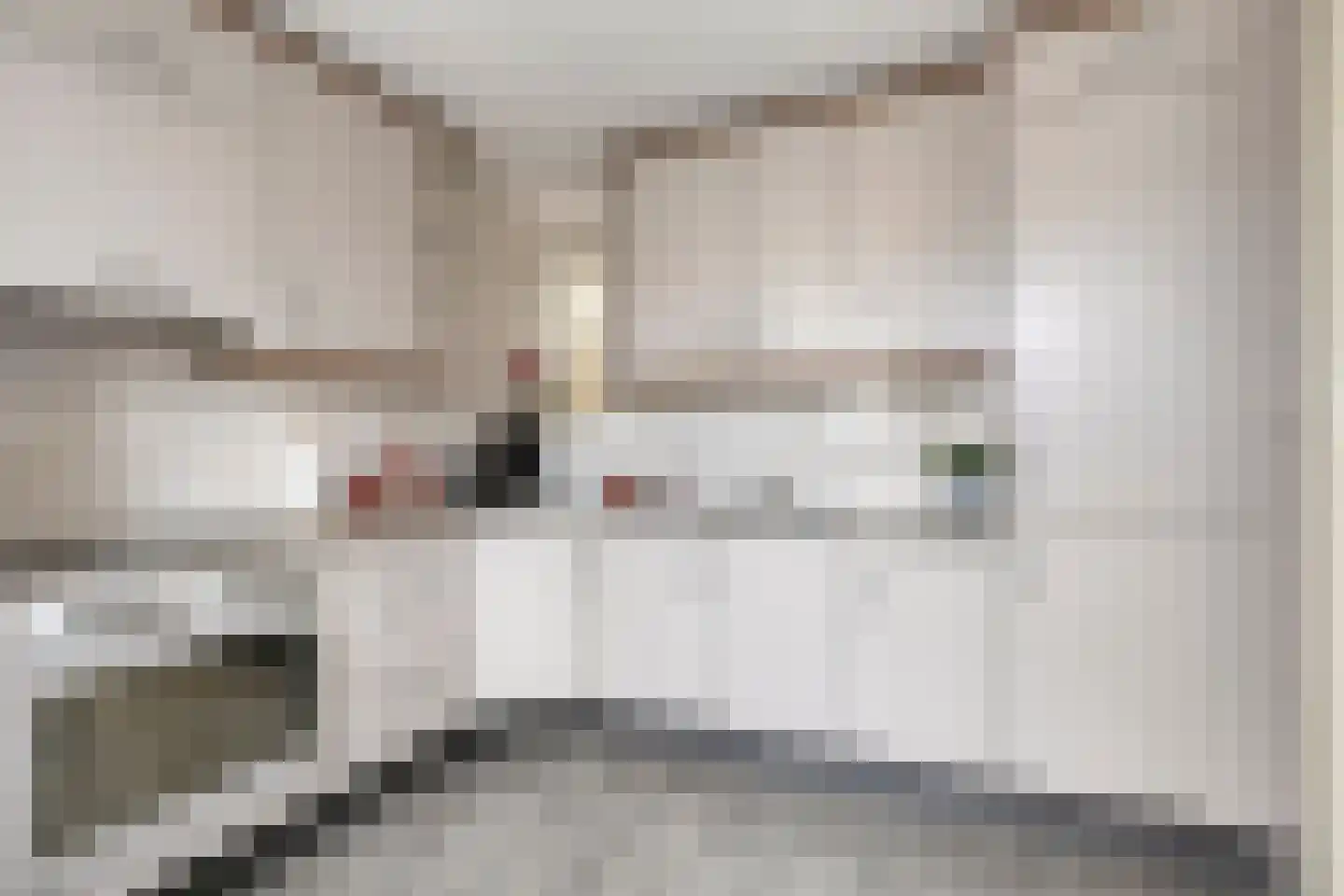 Roerdomp 75 Meppel thumbnail 19