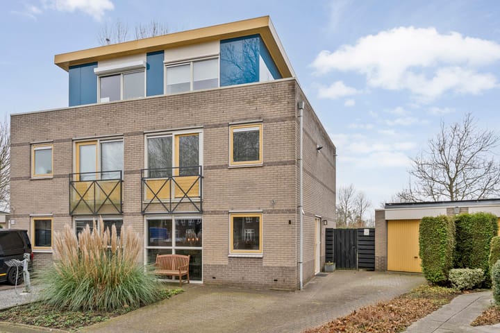 Roerdomp 8 in Meppel photo