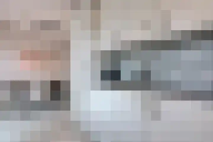 Roerdomp 8 Meppel thumbnail 10