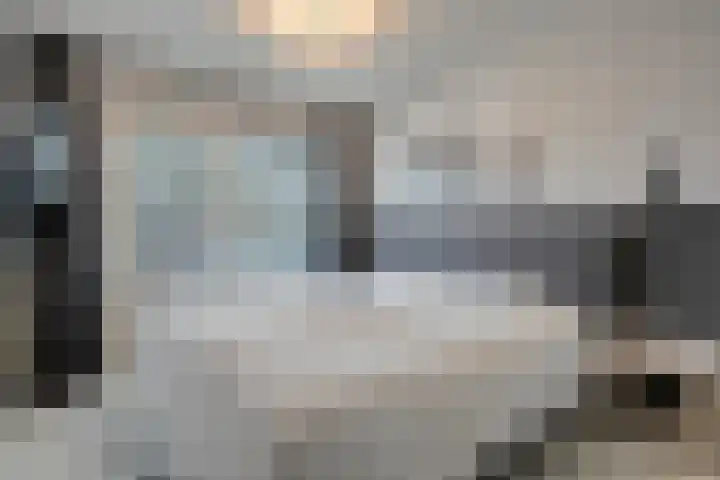 Roerdomp 8 Meppel thumbnail 15