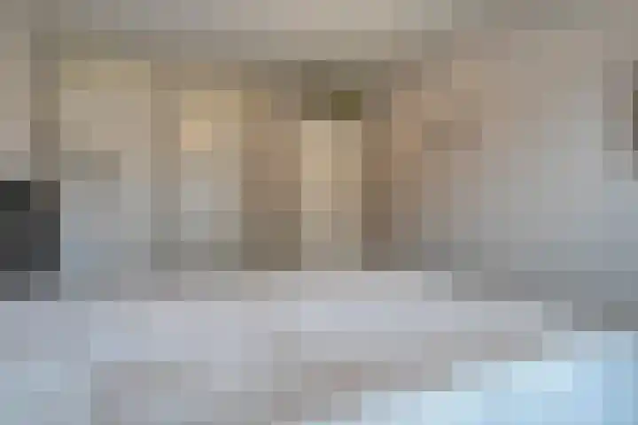 Roerdomp 8 Meppel thumbnail 16