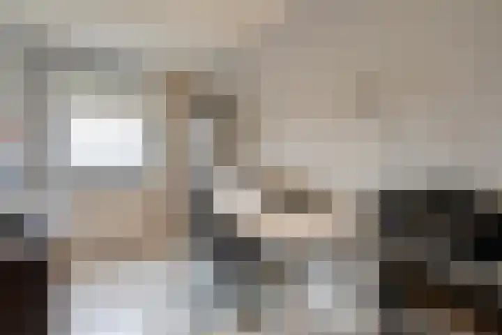 Roerdomp 8 Meppel thumbnail 17