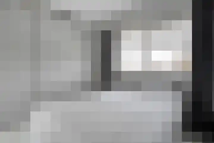 Roerdomp 8 Meppel thumbnail 24