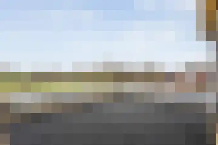 Roerdomp 8 Meppel thumbnail 26