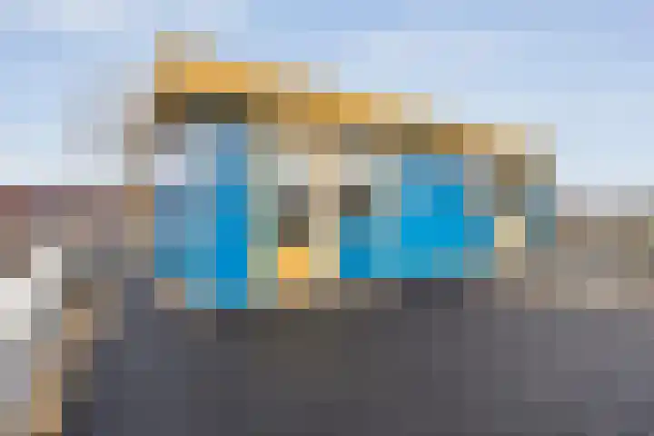 Roerdomp 8 Meppel thumbnail 27