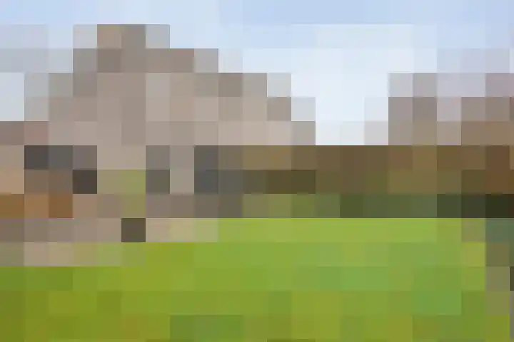 Roerdomp 8 Meppel thumbnail 31