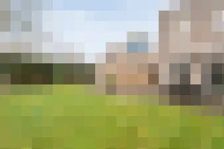 Roerdomp 8 Meppel thumbnail 32