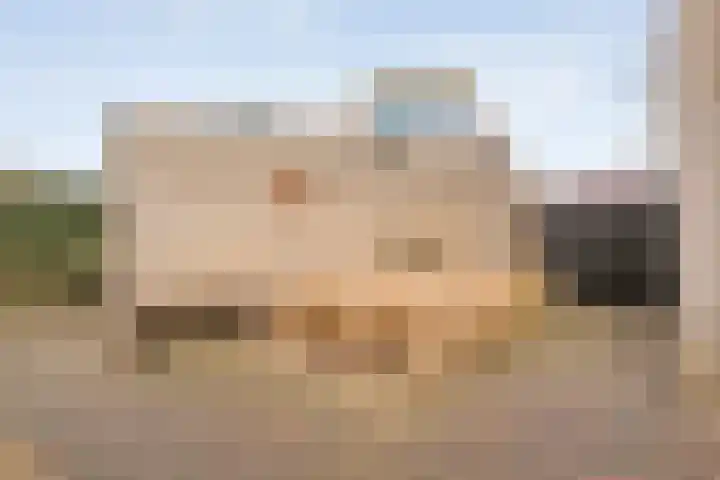 Roerdomp 8 Meppel thumbnail 35