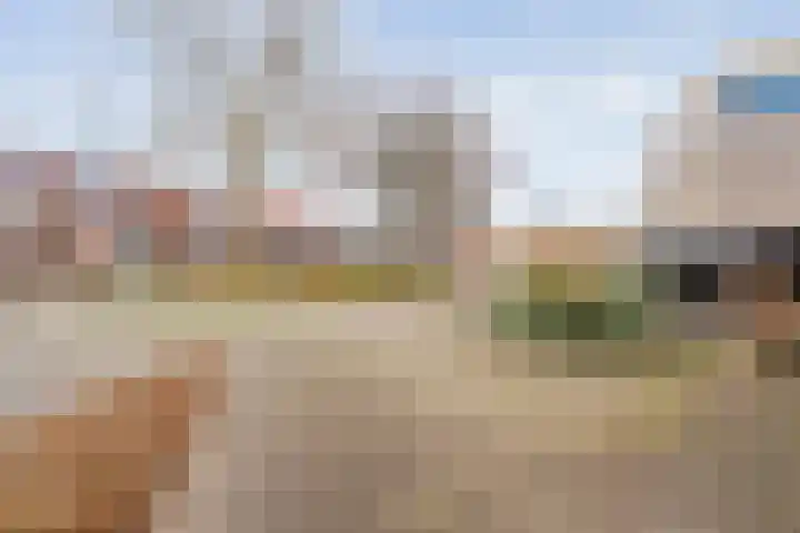 Roerdomp 8 Meppel thumbnail 36