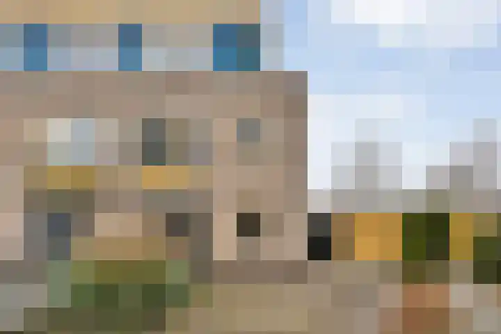 Roerdomp 8 Meppel thumbnail 37
