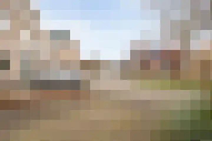 Roerdomp 8 Meppel thumbnail 38