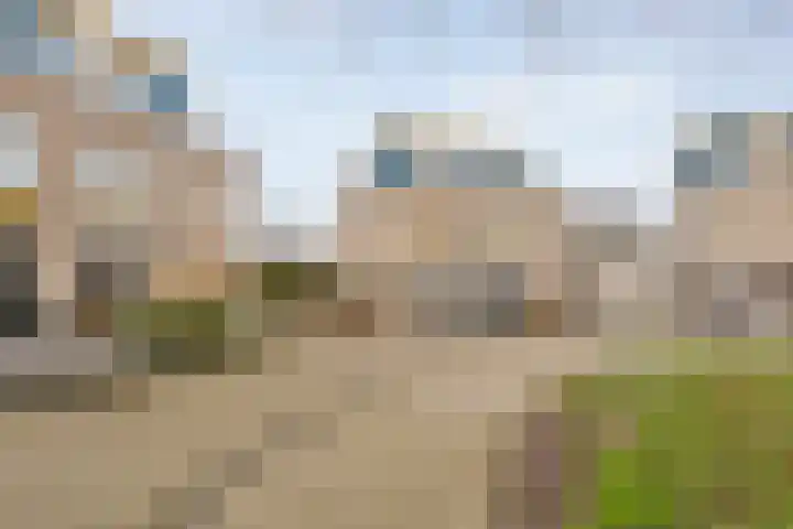 Roerdomp 8 Meppel thumbnail 39