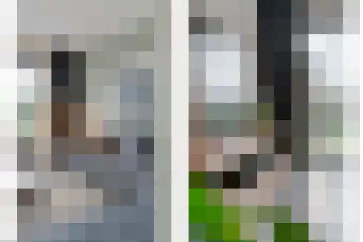 Roerdomp 8 Meppel thumbnail 4