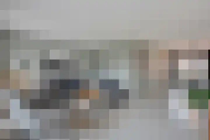 Roerdomp 8 Meppel thumbnail 5