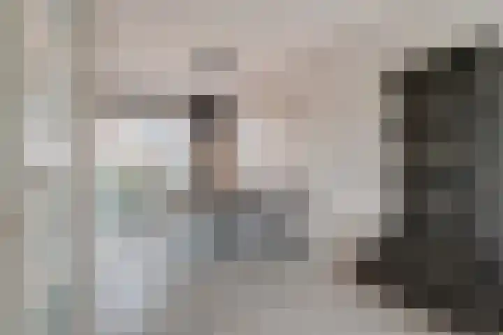 Roerdomp 8 Meppel thumbnail 6