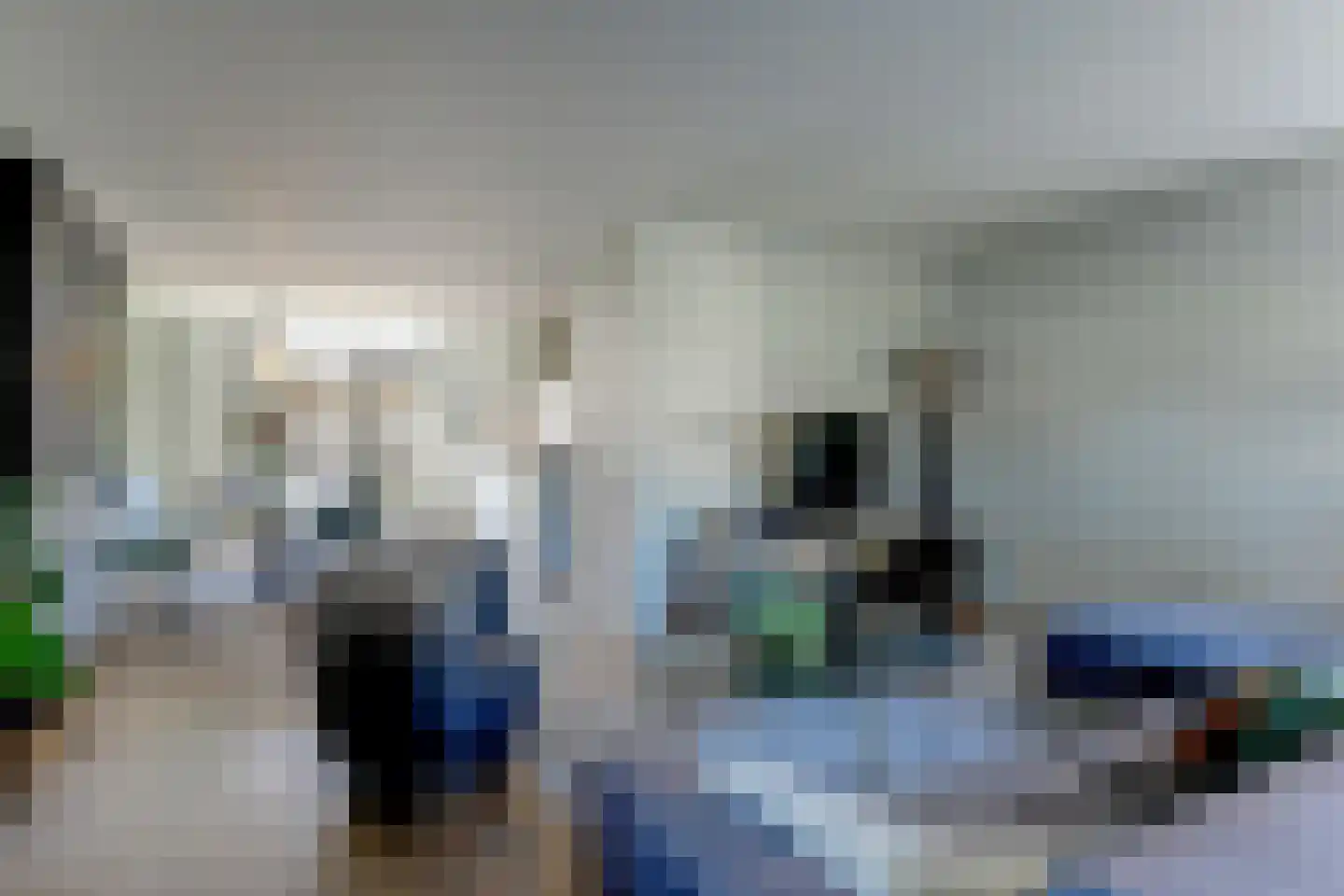 Roerdomp 8 Spanbroek thumbnail 13