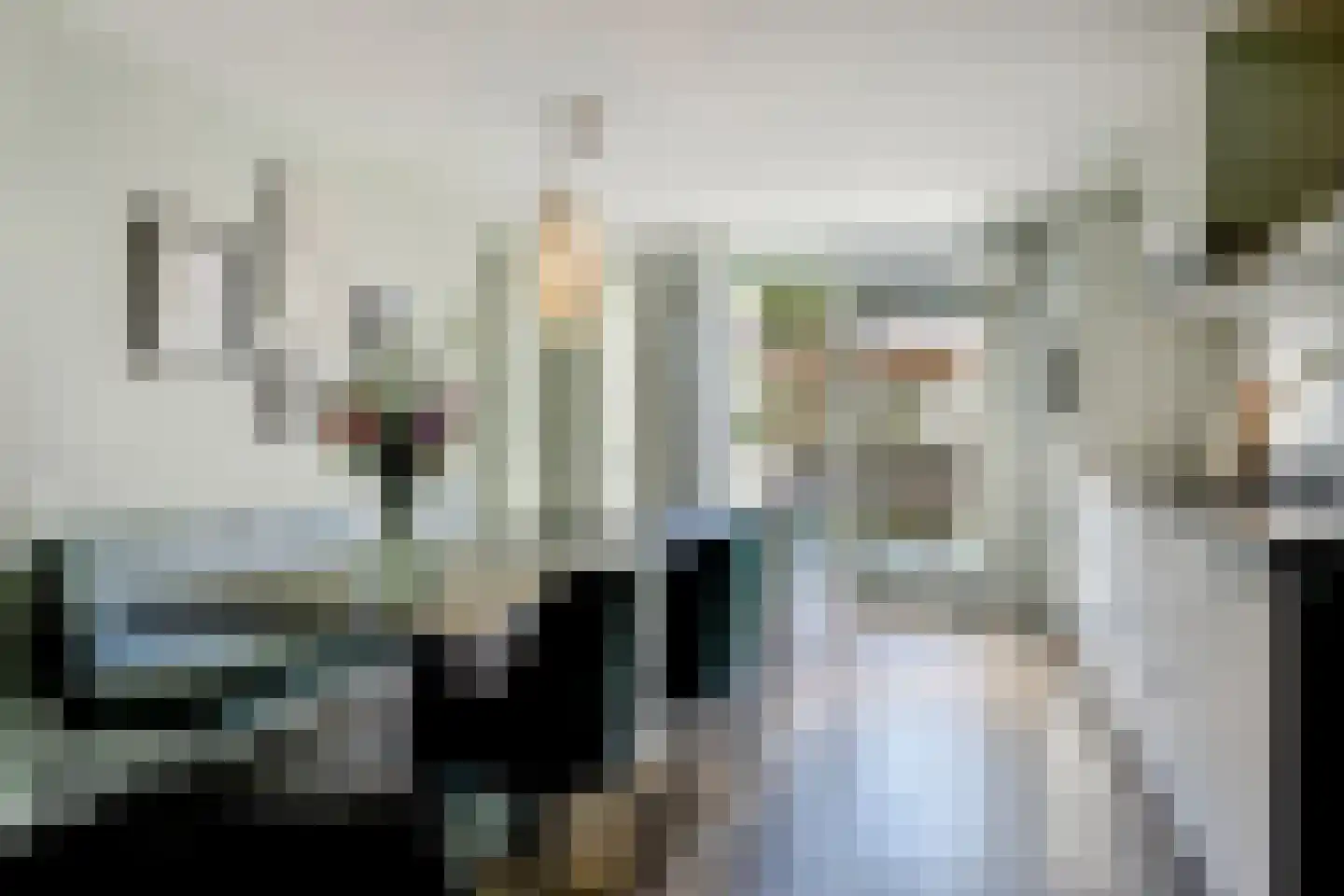 Roerdomp 8 Spanbroek thumbnail 14