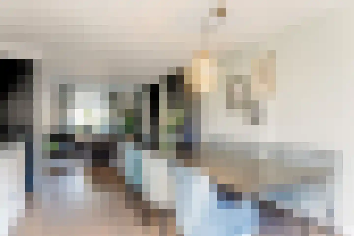 Roerdomp 8 Spanbroek thumbnail 17